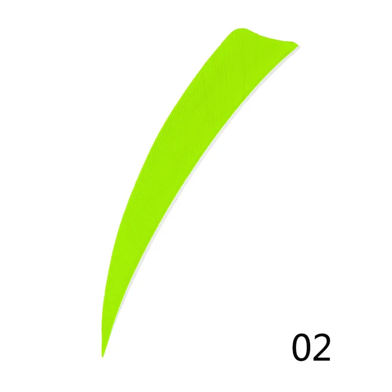 303557_no-logo_303557-2-02-g