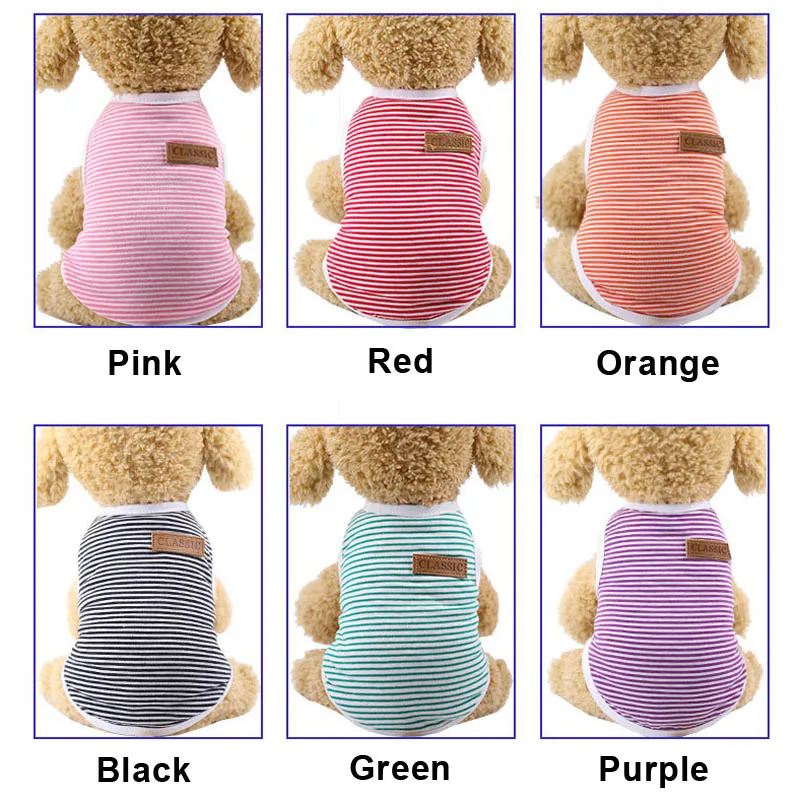 dog summer clothes