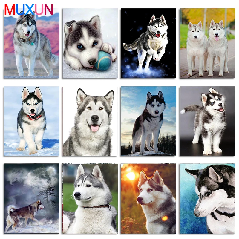 Square/Round Diamond Rhinestone 5D Diy Diamond Painting Animal Stone Embroidery Cute Husky Dog Cross Stitch Pattern Mosaic Gift Square/Round Diamond Rhinestone 5D Diy Diamond Painting Animal Stone Embroidery Cute Husky Dog Cross Stitch Pattern Mosaic Gift