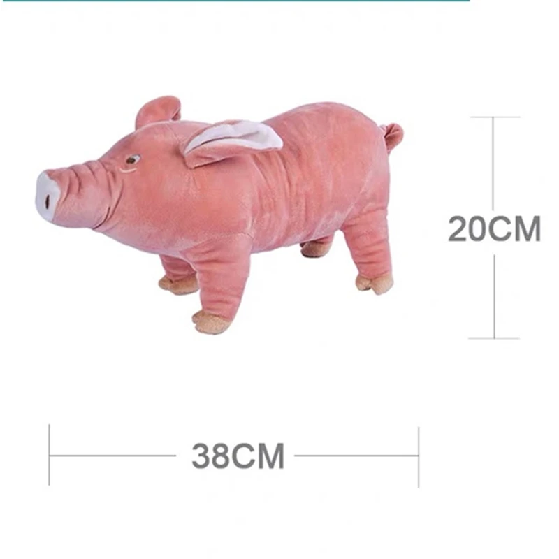 38cm