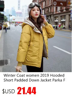 Осенне-зимняя куртка женское пальто с длинным рукавом на молнии с капюшоном воротник свободный металлический цвет глянцевая модная повседневная куртка х/б M174