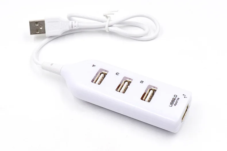 6698125460_551969416