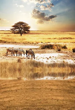 

Zebra prairie photo backgrounds vinyl fall portrait travelling vlog photography backdrops for photo studio accessories lv-2446