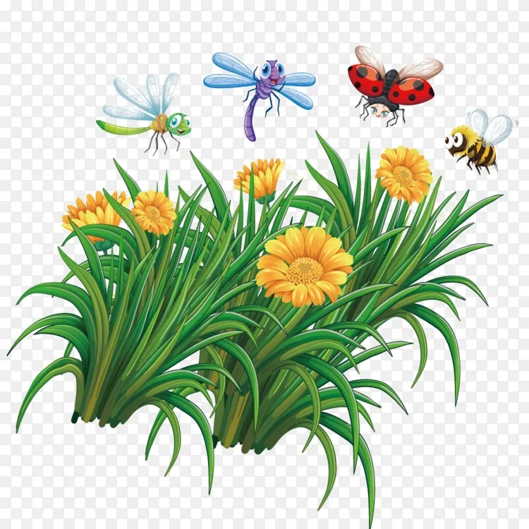 昆虫蜜蜂插图 花蜜蜂png图片素材免费下载 图片编号 Png素材网
