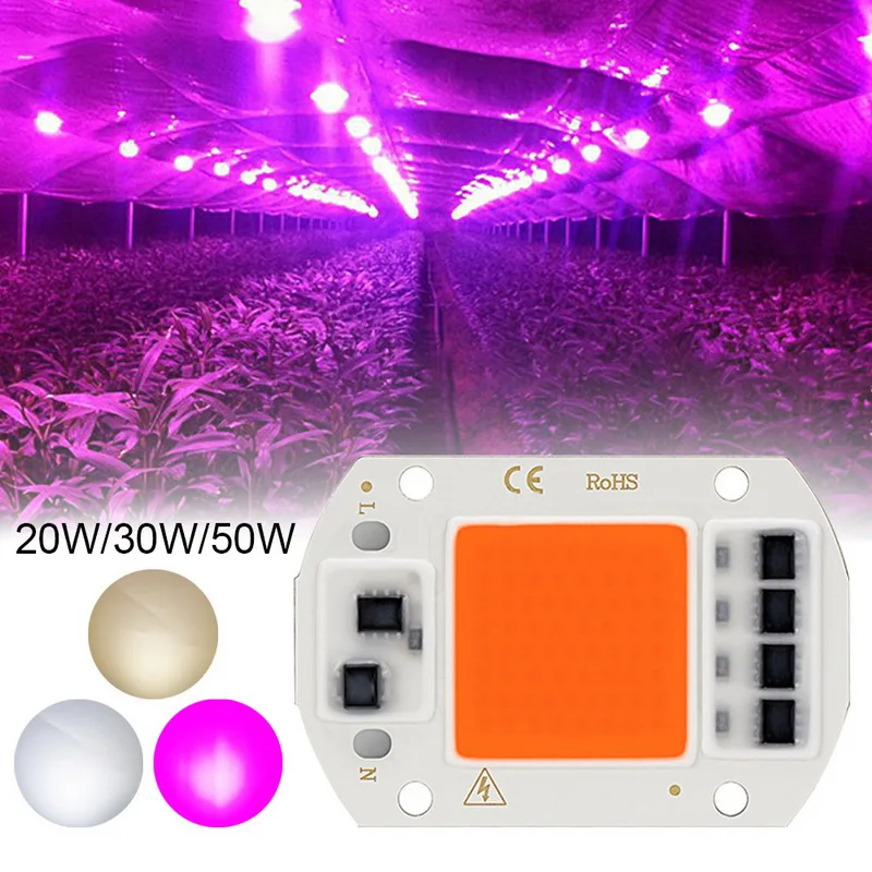 

AC220V 10W 20W 30W 50W LED Grow COB Chip Phyto Lamp Full Spectrum For Indoor Plant Seedling Grow and Flower Growth Fitolamp