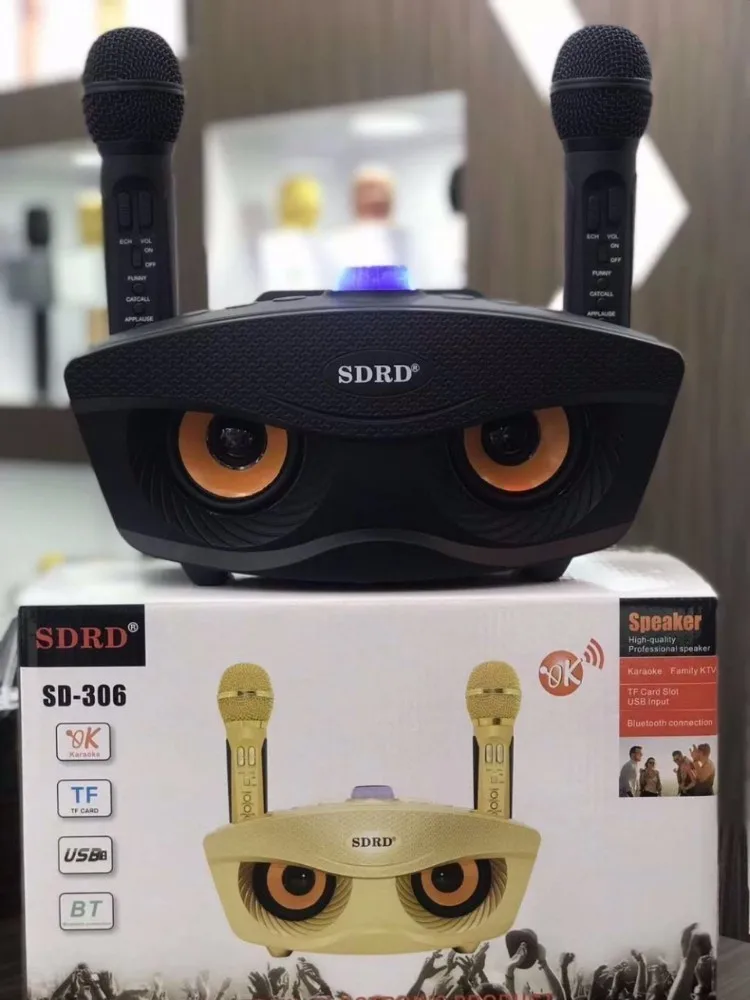 Dual Bluetooth Speaker with 2 Wireless Microphones