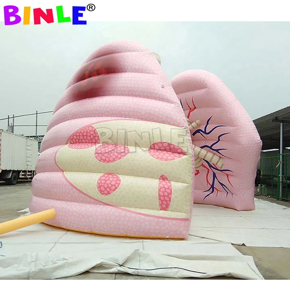 맞춤형 대형 풍선 폐 모형, 학교 교육 및 의료 행사 전시용 풍선 인체 장기 모형