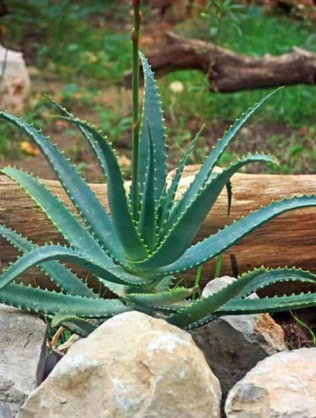 QQ图片20190427141627