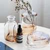 Transparent Glass Flower Vases for Homes, Dry Flower, Gradient Vase, Desktop, Living Room Decoration Accessories, Nordic Home 1