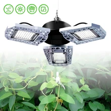 

LED Grow Light Horticole Indoor Seedlings Flower E27 100W 200W 300W Full Spectrum LED Phyto Lamp Grow Tent Box IP20 Waterproof