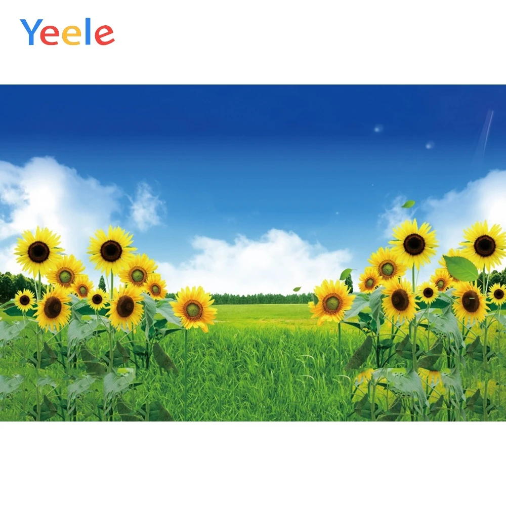 Spring Sunflower Grassland Nature Scene Baby Portrait Backdrop Vinyl Photographic Background For Photo Studio Photophone Shoot Background Aliexpress