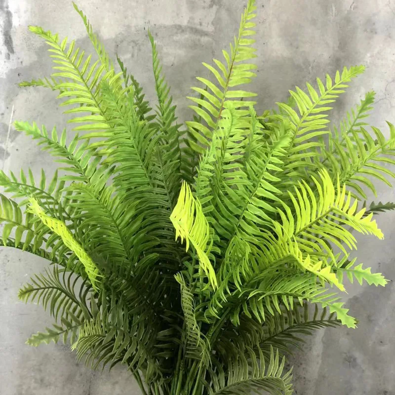 9567562680_1258068376