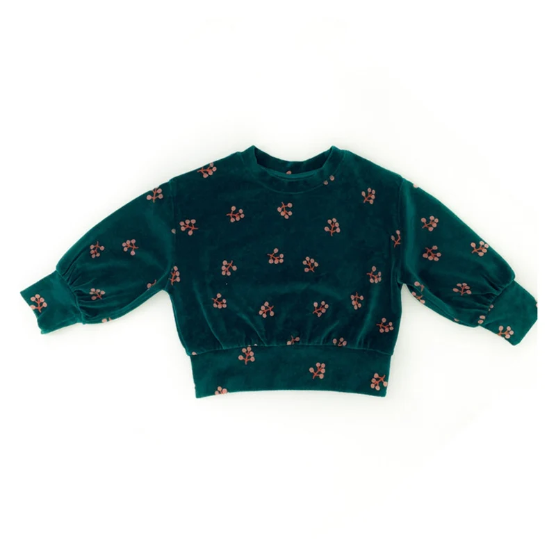 sweater Коллекция года, осенне-зимние Бархатные комплекты одежды для маленьких девочек зеленая футболка с длинными рукавами Топы+ штаны, комплекты одежды из 2 предметов От 1 до 5 лет, Прямая поставка - Цвет: sweater