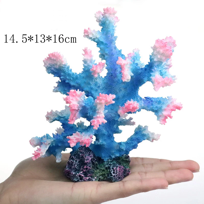 10245962560_917857823