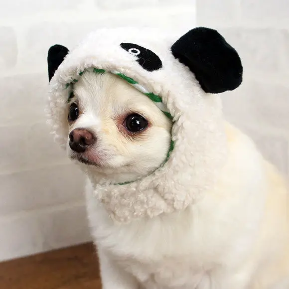 2646493486_1253620895