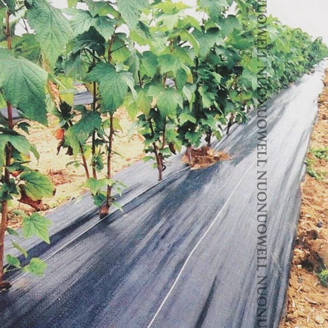 Nagykereskedelmi Szélesség 2M 6,56 Ft 90Gsm Pp Grass Talajtakaró Gyomnövényes Szövet Mezőgazdasági Gyümölcsökhöz Növényi Ültetéshez - Image 6
