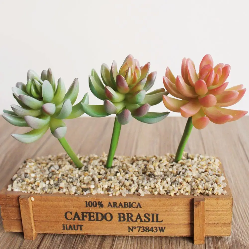 

New Arrival 1Pc Artificial Cactus Succulent Garden Lifelike Plastic Fake Plants No Vase Home Decoration Accessories Home Decor