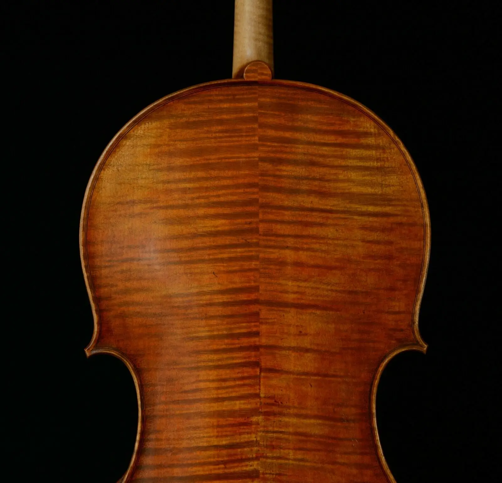 Настоящая фотография удивительно исключительная Виолончель исключительный