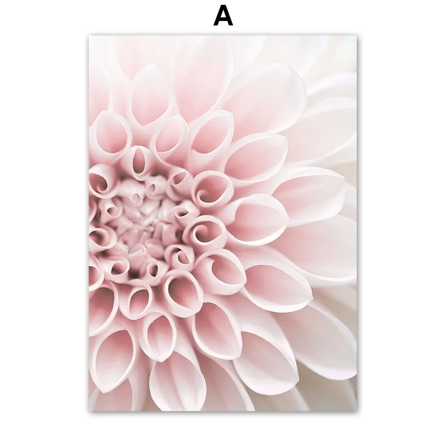 Pink-Flower-Phalaenopsis-Peony-Dahlia-Quotes-Wall-Art-Canvas-Painting-Nordic-Posters-And-Prints-Wall-Pictures (3)