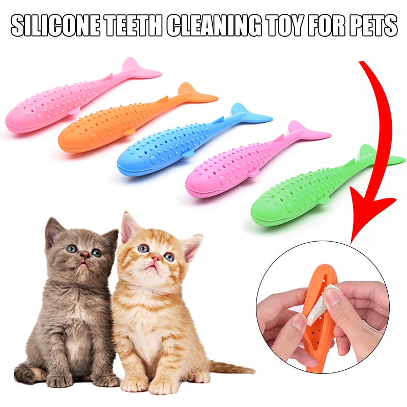 cat toothbrush toy