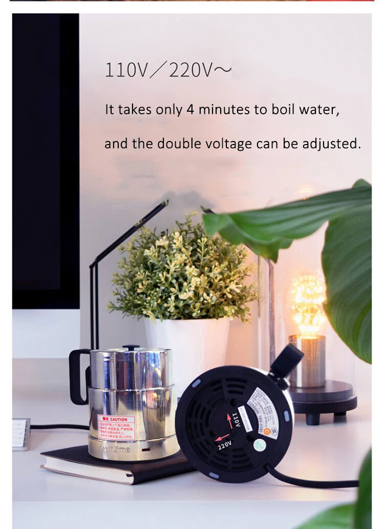 Petite Bouilloire Électrique De Voyage 350 Ml Portable En Acier