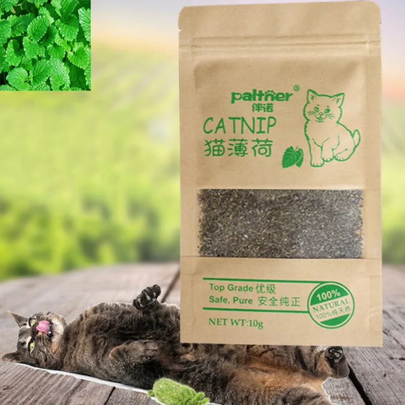 Organic Natural Premium Catnip Cattle Grass 10g Menthol Flavor Funny Cat Toys Pet Products