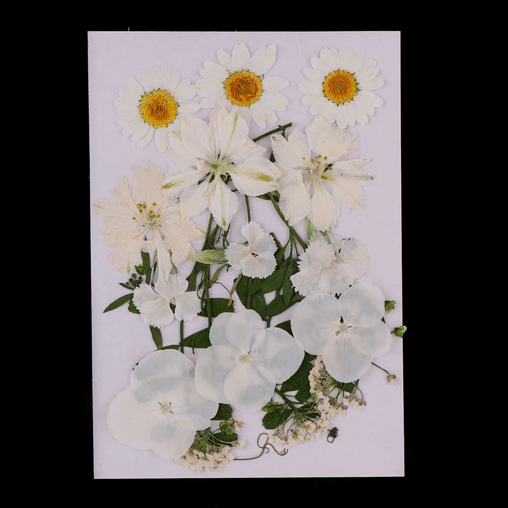 Lots Mixed Real Pressed Flower Dried Flowers  for Resin Jewellery Scrapbooking Phone Case Making Crafts DIY Dry Plants