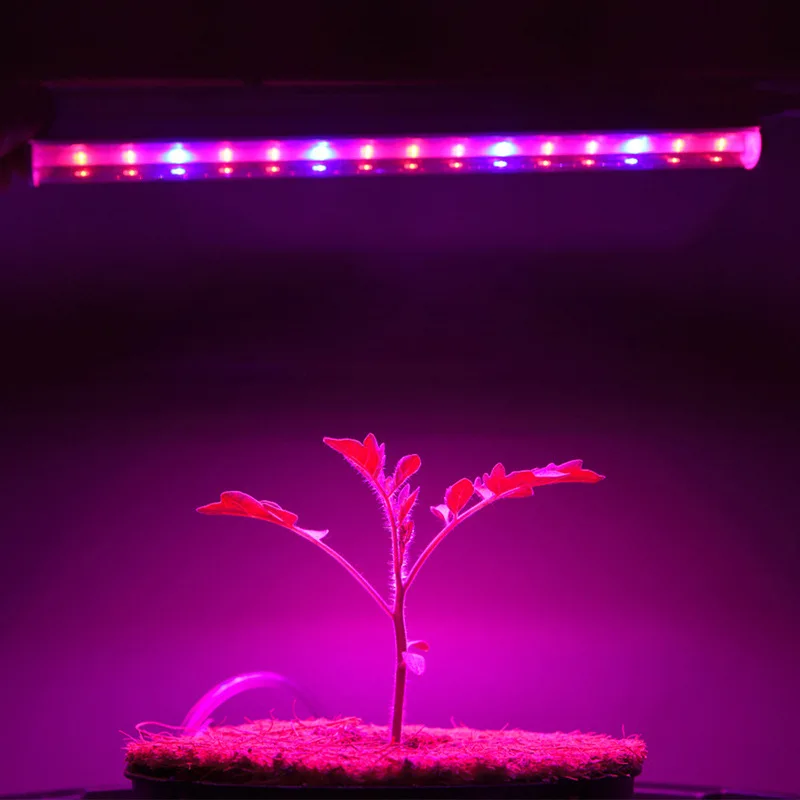 30cm Led Grow Light AC 85-265V EU US Plug New Full Spectrum T5 Tube phytolamp for plants growth Tent flower seedling grow lamp
