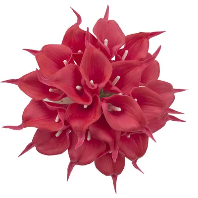 10911396347_831230203.400x400