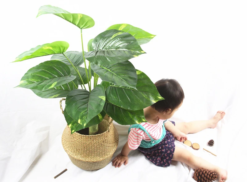 4413413327_945940454