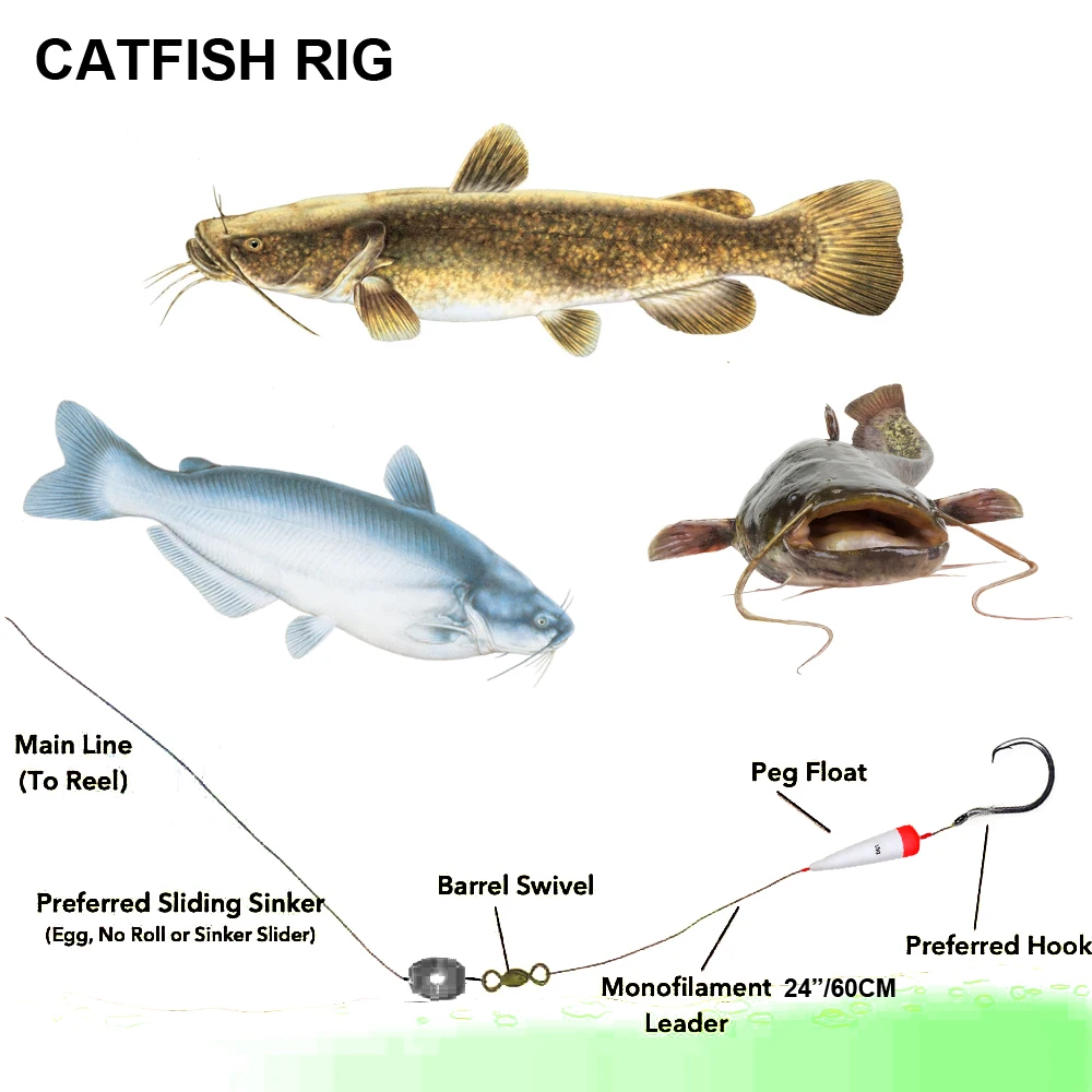 Bacini Di Pesca Per La Tilapia Di Pesce Gatto E Una Piscina Per Bambini Nel Villaggio Dilem Kepanjen Malang East Java 276270376
