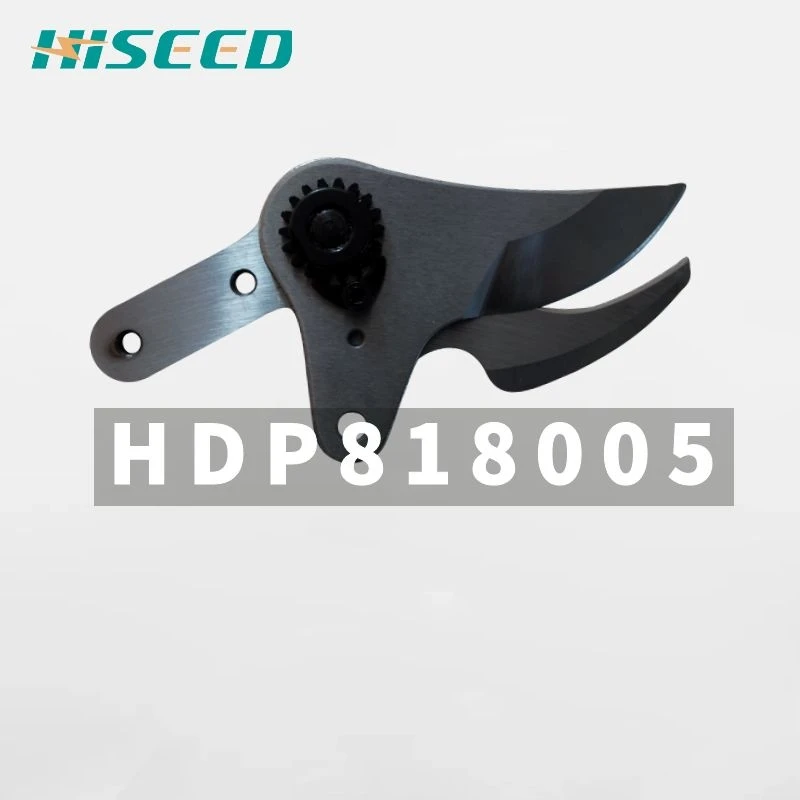 HDP818005