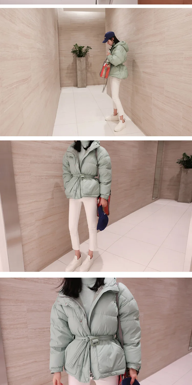 Winter New Style South Korea INS WOMEN'S Dress down Feather Coat Korean-style down Coat Mid-length Down Jacket Women's