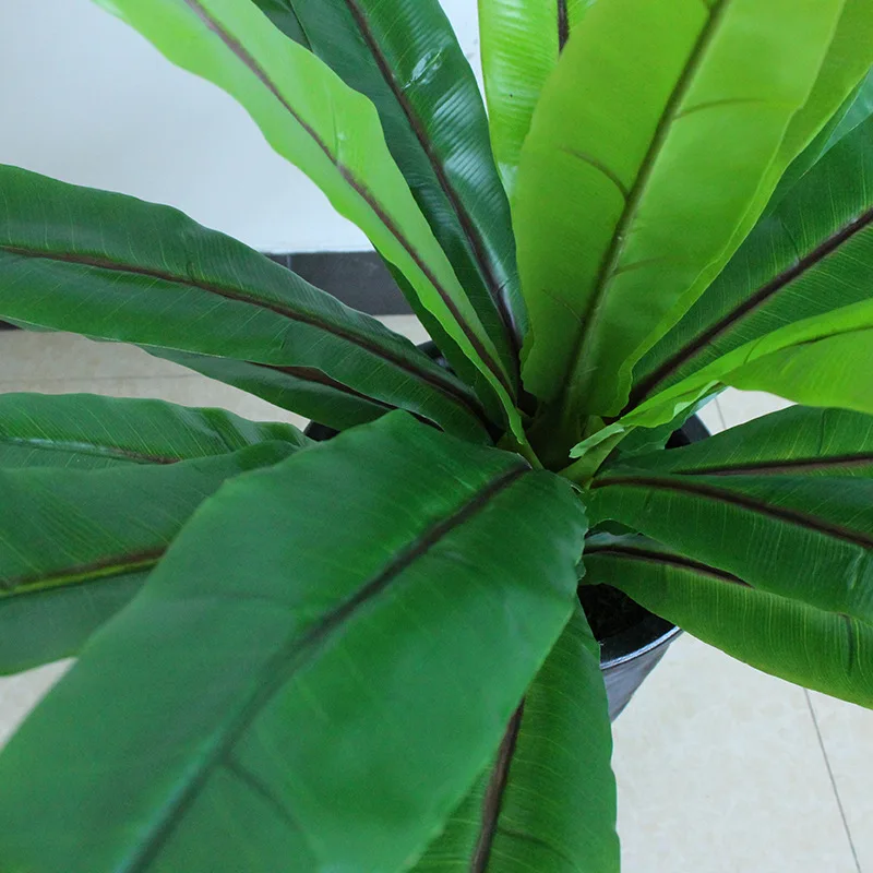 9288997764_451180499