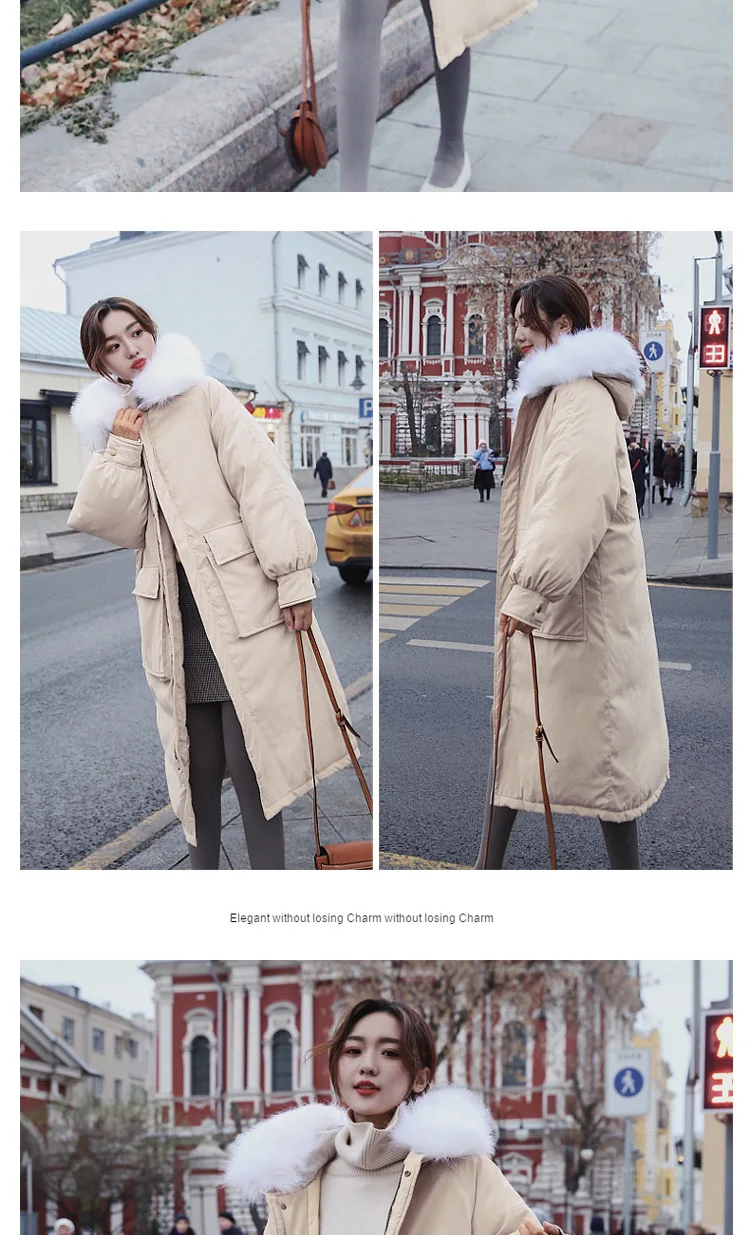 8821Cotton_16.jpg