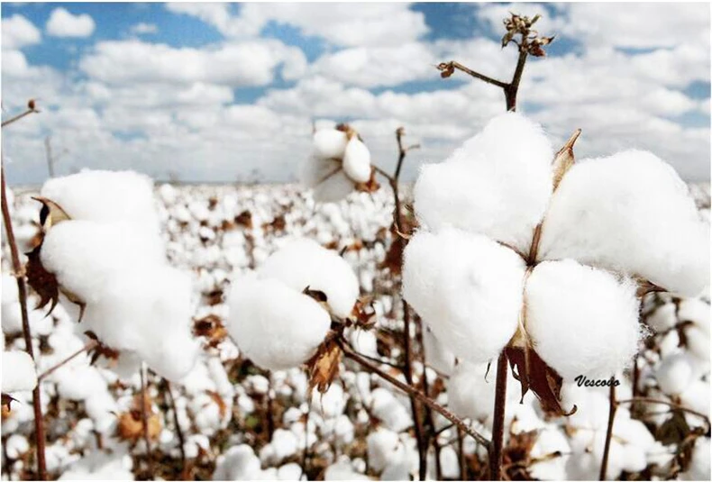 QQ截图20191031183927