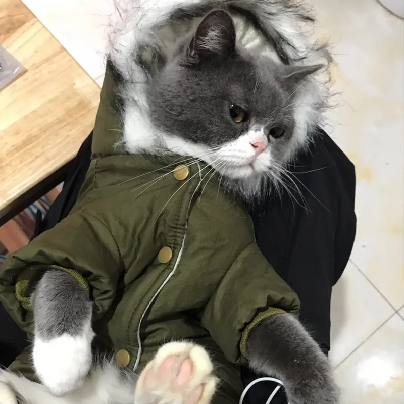 Игрушечная плюшевая собака одежда зимняя одежда для собак зеленое пальто комбинезон утепленная одежда для домашних животных костюм Одежда для щенков куртки