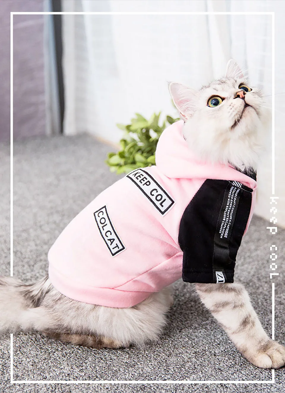 Одежда для кошек костюм для котенка Толстовка Одежда для йоркширского терьера для собак одежда пальто хип хоп бульдог худи с котом одежда для домашних животных
