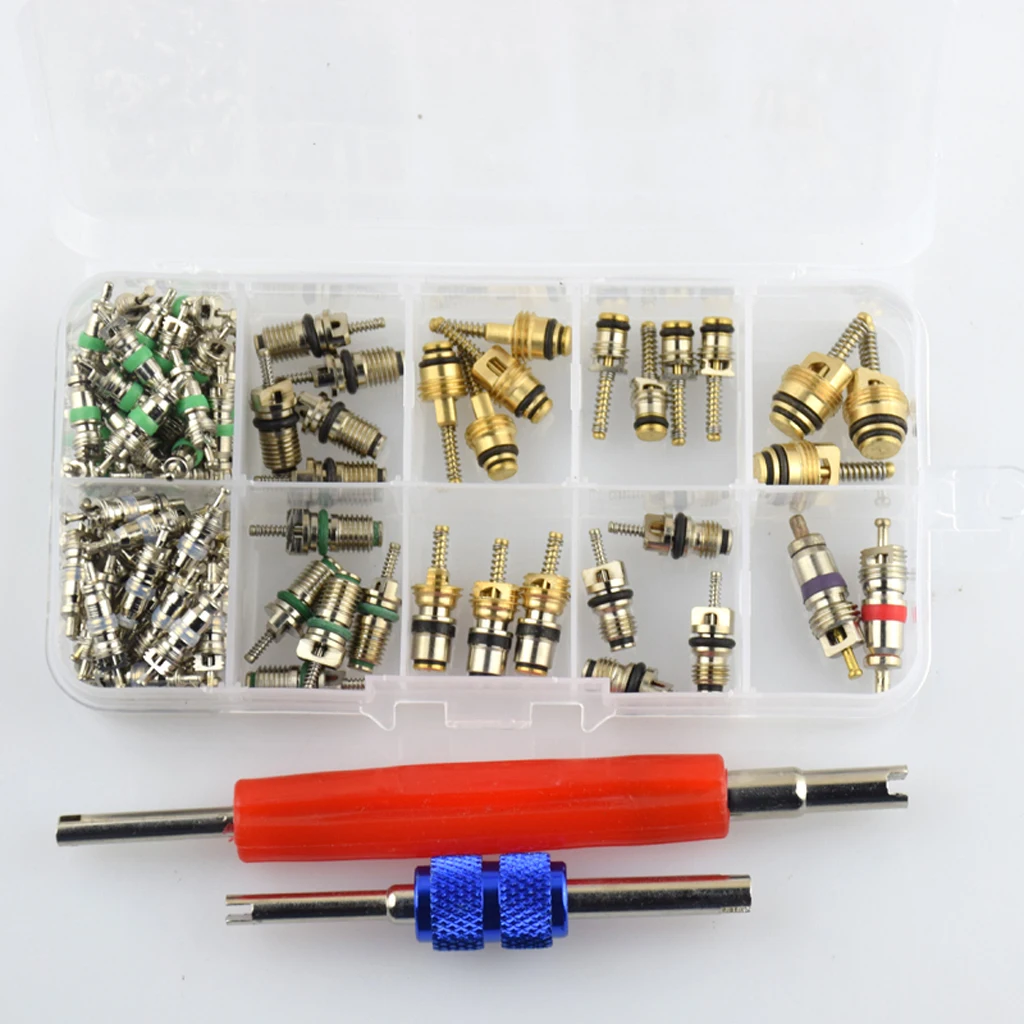 100 Pieces Car R12&R134 A/C Air Conditioner Schrader Valve Core with 2 Pieces Remover Tool