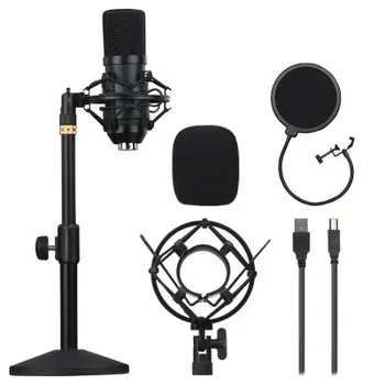 

BM700 Usb Microfoon 192Khz/24BIT Professionele Podcast Condensator Microfoon Voor Pc Karaoke Youtube Studio Opname Mikrofo