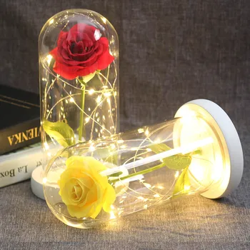 

Beauty and the Beast bottled glass eternal rose, everlasting pink, red rose, romantic Valentine's Day wedding gift