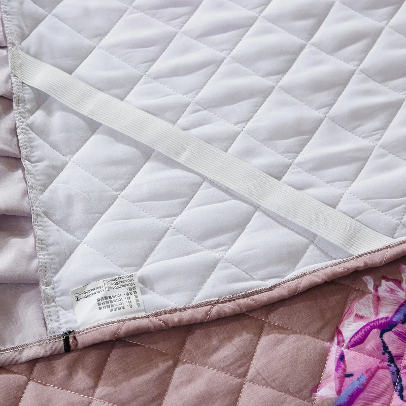 IMG_1011野马摄影