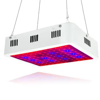 

LED Grow Light,1000W HPS Replacement,Full Spectrum Indoor Grow Lamp,Special Design for Indoor Growing Herbs and Plants(100X10W)