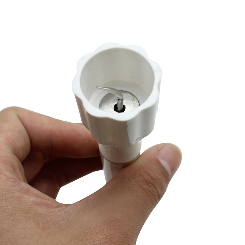 HTB1crDvXyzxK1RjSspjq6AS.pXab