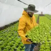 Garden Supplies