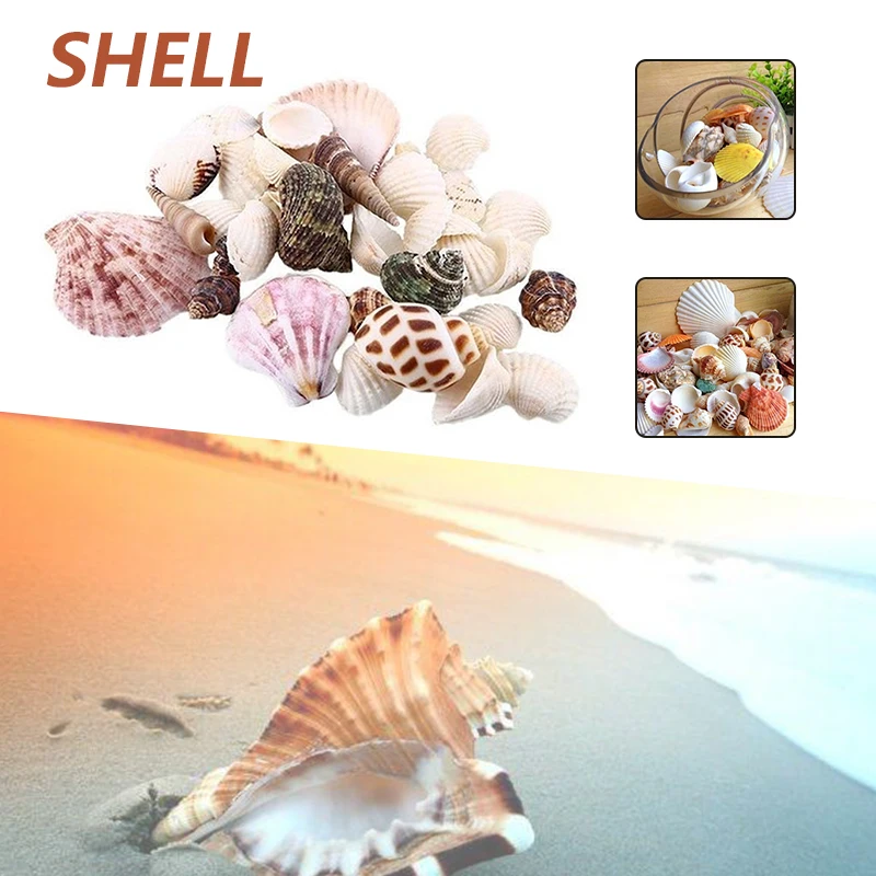 Exhibition Aquarium Other Ocean Craft Garden Microlandschaft Fashion Beautiful Gifts Home DIY 100g/Bag Beach Seashell Creative