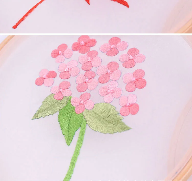 11613731705_1142944050