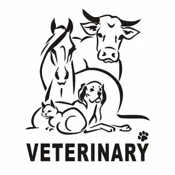 

Dog Cat VETERINARY Pet Shop Sticker Decal Posters Vinyl Wall Art Decals Parede Decor Mural Pet Shop Sticker