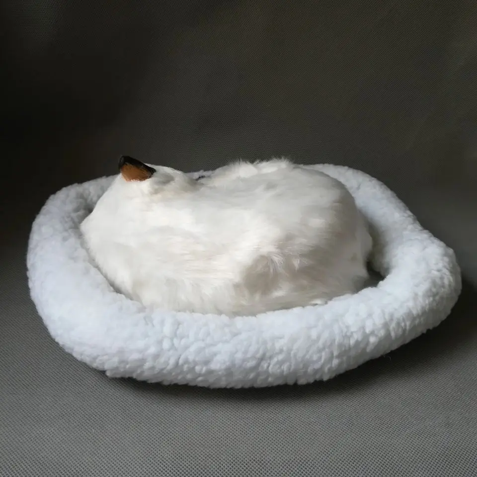 Реалистичная игрушка Спящая кошка, 26x20 см дышащий Кот модель, полиэтилен и меха игрушка, реквизит. Домашний декорация Рождественский подарок w4122