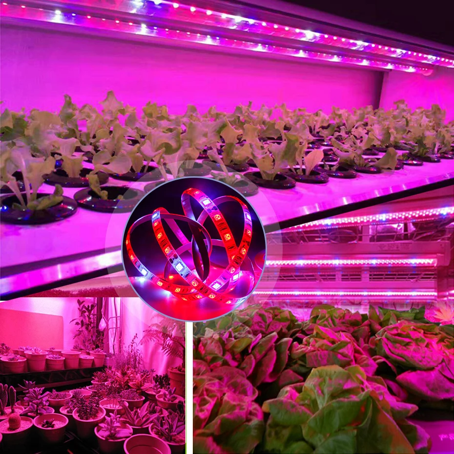 12 В полный спектр светодиодный светильник для выращивания красный+ синий водонепроницаемый IP65/IP20 для гидропоники цветы растения овощи